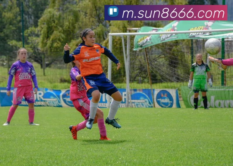 平台使命图